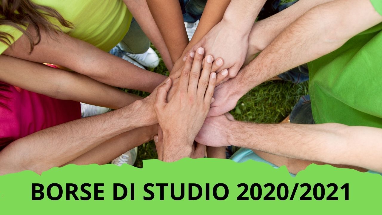CISV ITALIA BORSE DI STUDIO 2021